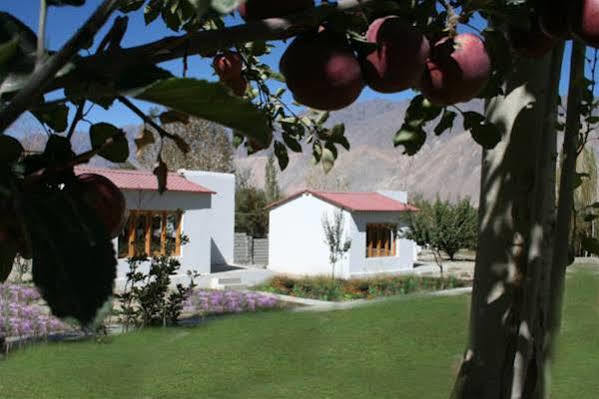 Himalayan Eco Resort Hundar Екстериор снимка