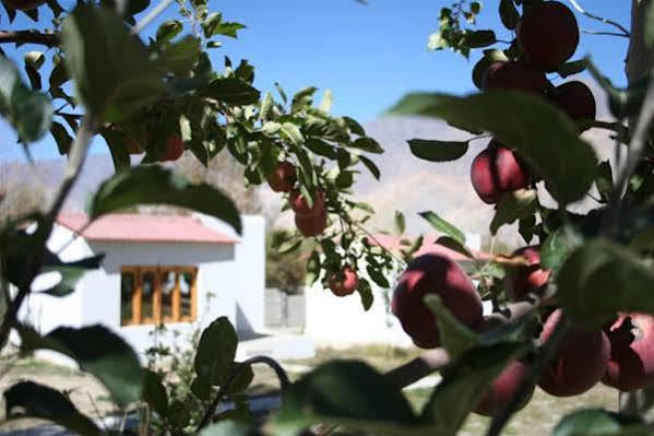 Himalayan Eco Resort Hundar Екстериор снимка