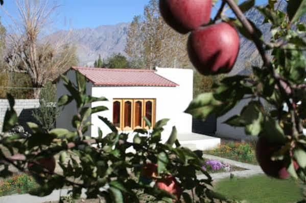 Himalayan Eco Resort Hundar Екстериор снимка
